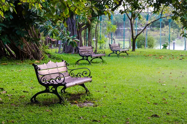 Bänkar i vacker grön park — Stockfoto