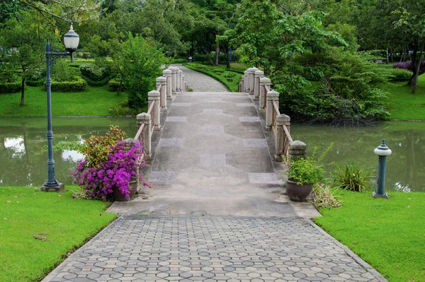 Cement bruggen en walkway voor oefening met bomen in park — Stockfoto