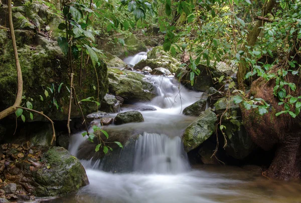 Водоспад у джунглях глибокого дощу — стокове фото