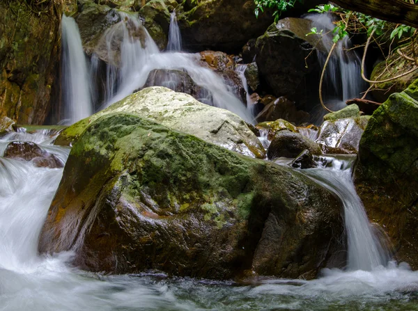 Водопад в джунглях тропических лесов — стоковое фото