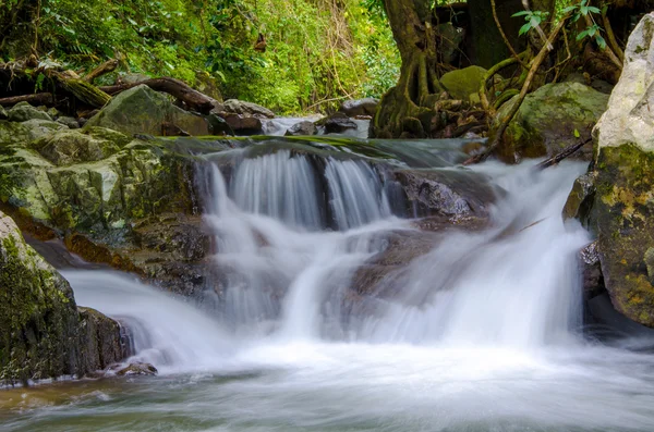 Cascada en la selva profunda — Foto de Stock