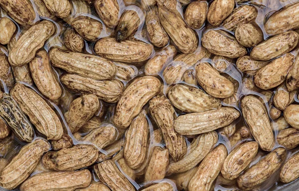 Amendoins limpeza na água — Fotografia de Stock