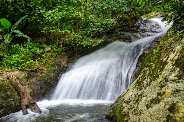 深い熱帯雨林のジャングルの滝 — ストック写真