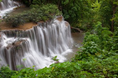 derin yağmur ormanları jungle şelale