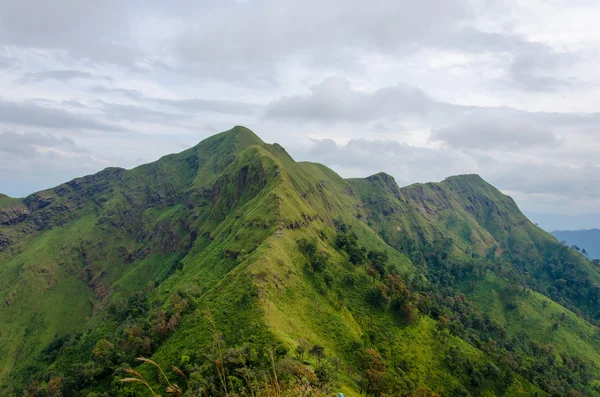 Mountains and jungle with mist in foggy weather in Thailand — Stock Photo, Image