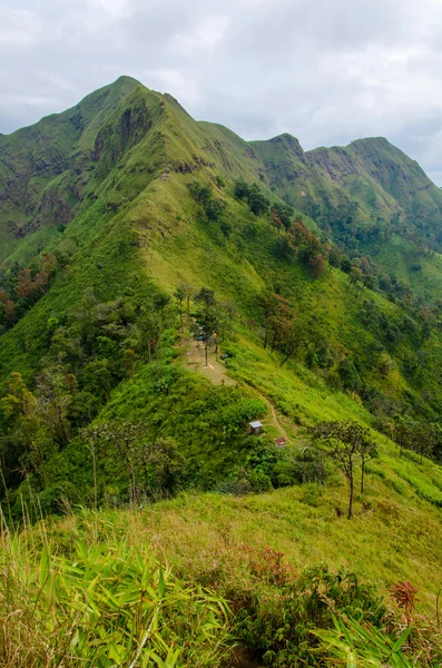 Montagne e giungla con nebbia nel tempo nebbioso in Thailandia — Foto Stock