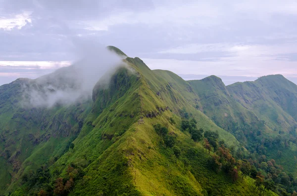 Góry i dżungli z mgły w mglista Pogoda w Tajlandii — Zdjęcie stockowe