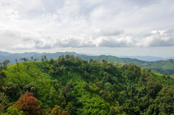 Montañas y selva con niebla en el tiempo brumoso en Tailandia —  Fotos de Stock