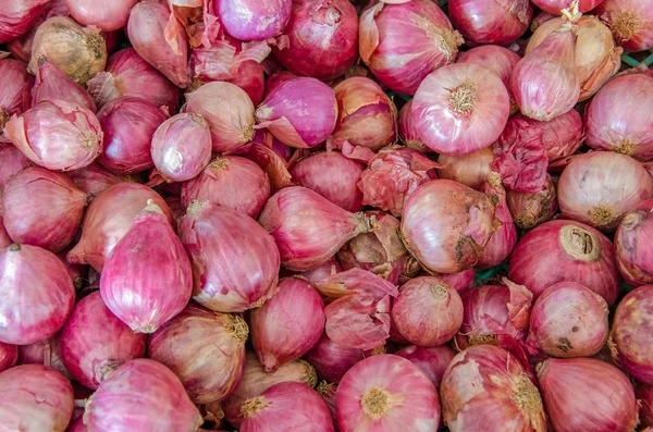 Σωρό των κρεμμυδιών, κρεμμυδιού είναι συστατικό του ταϊλανδέζικο φαγητό και σάλτσα ντομάτας — Φωτογραφία Αρχείου