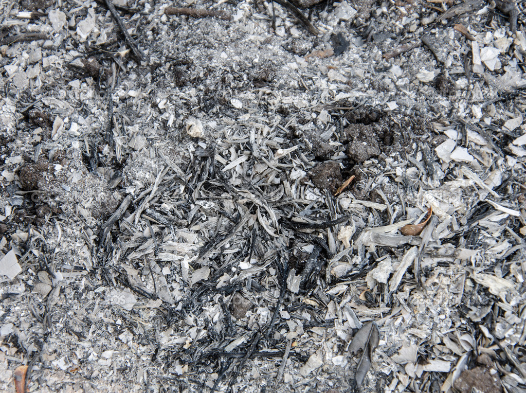 Burned wood ash background from fireplace — Stock Photo © casanowe1