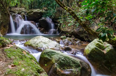 derin yağmur ormanları jungle şelale