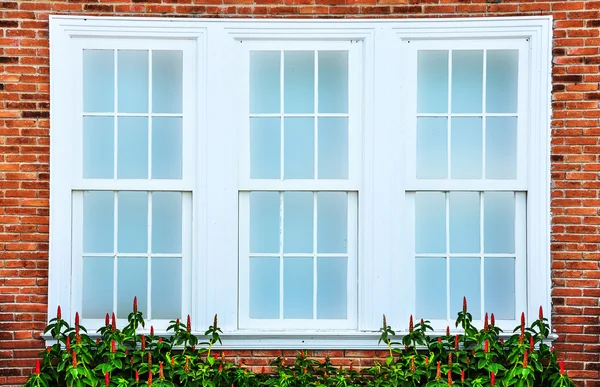Vintage beyaz pencere tuğla duvar
