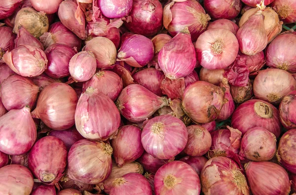 Zwiebelstapel, Schalotte ist Zutat für thailändisches Essen und Aufholbedarf — Stockfoto