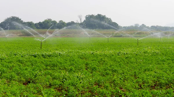 Morning view of a hand line sprinkler system in a farm field — Stock Photo, Image