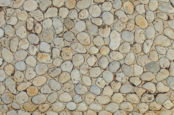 Stone wall texture for background — Stock Photo, Image