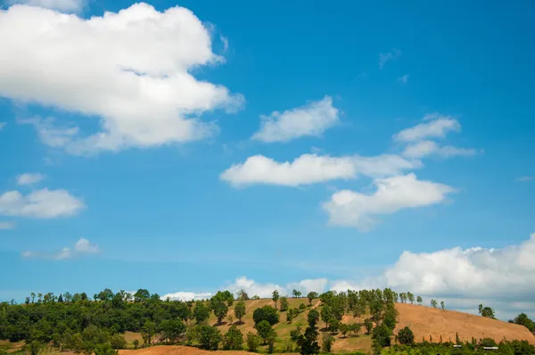 Летние горы зеленая трава и голубое небо пейзаж — стоковое фото