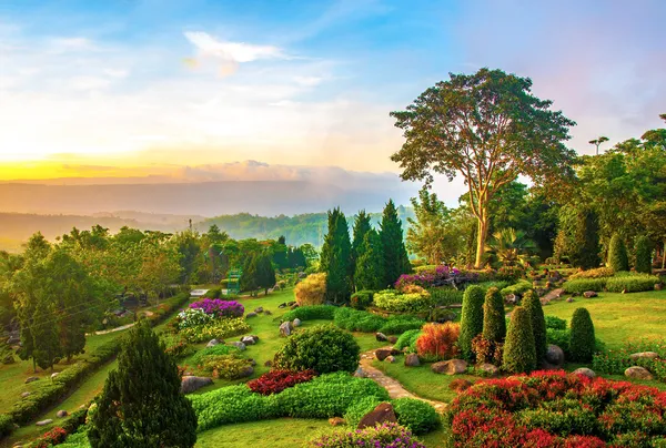 Prachtige tuin van kleurrijke bloemen op heuvel — Stockfoto