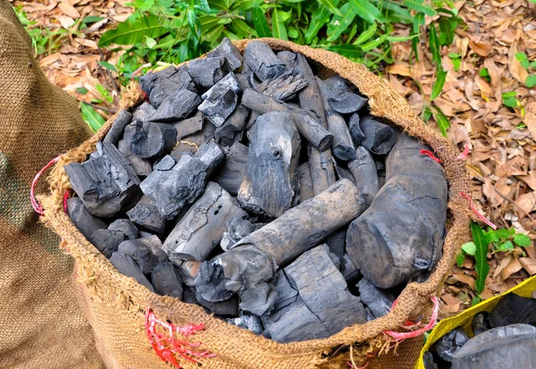 Fermer le charbon de bois dans des sacs — Photo