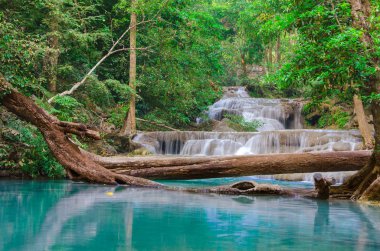 erawan şelale Milli Parkı, derin orman şelale,