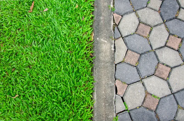 Texture of footpath road  and grass field — Stock Photo, Image