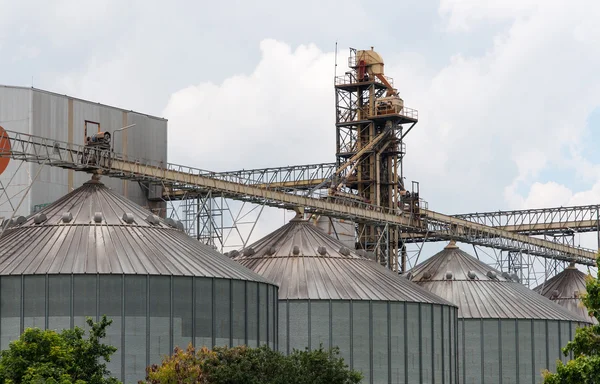 Réservoirs de stockage dans l'usine de riz, ligne de production de processus d'usine en t — Photo