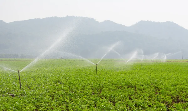 Morning view of a hand line sprinkler system in a farm field — Stock Photo, Image