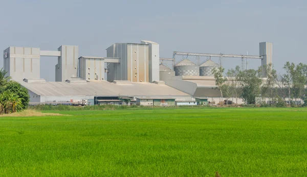 Storage tanks in rice mill, factory process production line — Stock Photo, Image