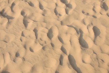 arka plan için sahilde kum tepeleriпіщані дюни на пляжі для фону