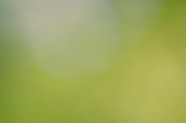Prachtige groene natuur bokeh abstract voor achtergrond — Stockfoto