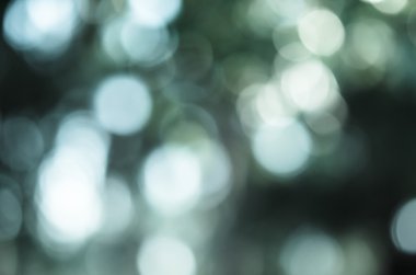 güzel yeşil doğa bokeh soyut arka planı için