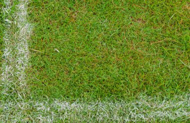 Yeşil futbol sahasında beyaz şerit.