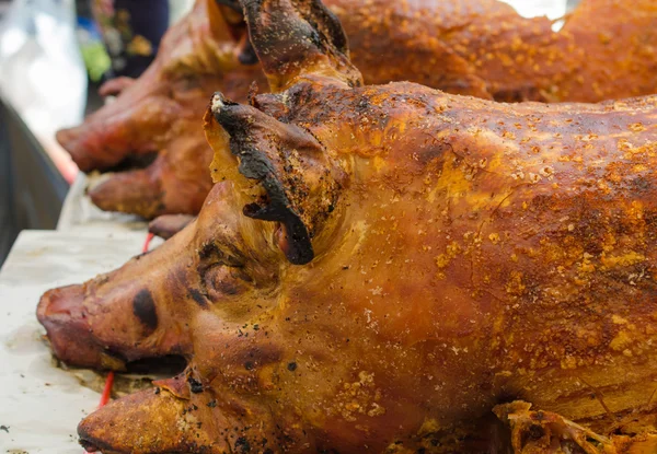 Asar a la parrilla cerdo asado entero Asar saliva es un tradicional — Foto de Stock