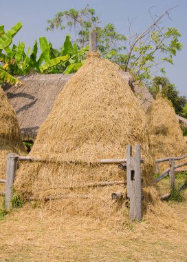 kırsal manzara saman veya saman balya yığını