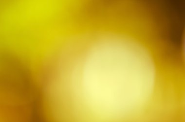 güzel yeşil doğa bokeh soyut arka planı için