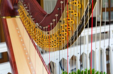 müzik aleti bir parçası olarak adlandırılan harp