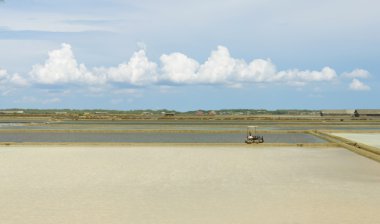 işçiler tuzu sürüş salin üretilecek.