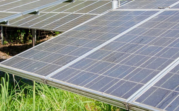 Solar energy panels in forest