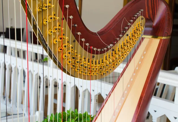 Instrumento musical harpa no restaurante — Fotografia de Stock