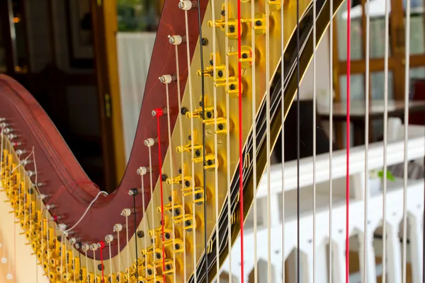 Harfe Musikinstrument im Restaurant — Stockfoto