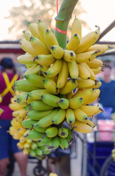 市場の新鮮な緑のバナナの束 — ストック写真