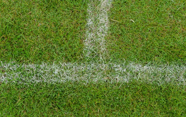 Біла смуга на зеленому футбольному полі зверху — стокове фото