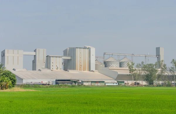 Tanques de almacenamiento en molino de arroz, línea de producción de proceso de fábrica —  Fotos de Stock