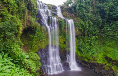 Tad gneuang şelale, paksa champasak Güney laos.