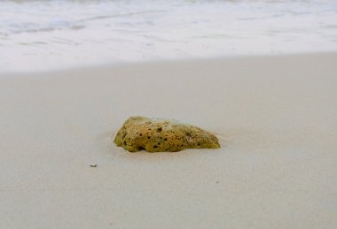mercan ve deniz kum plajındaki dalgası