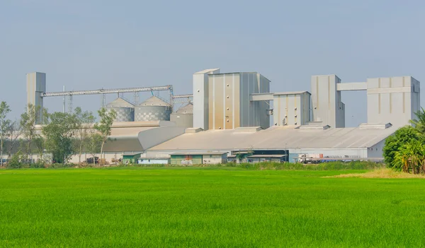 Lagertanks in Reismühle, Produktionslinie für Fabrikprozesse — Stockfoto