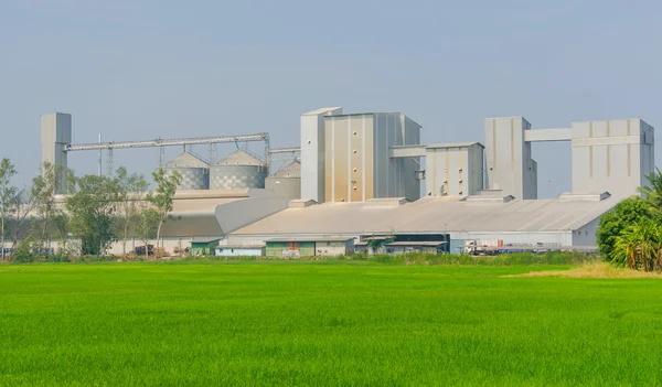 Tanques de almacenamiento en molino de arroz, línea de producción de proceso de fábrica —  Fotos de Stock