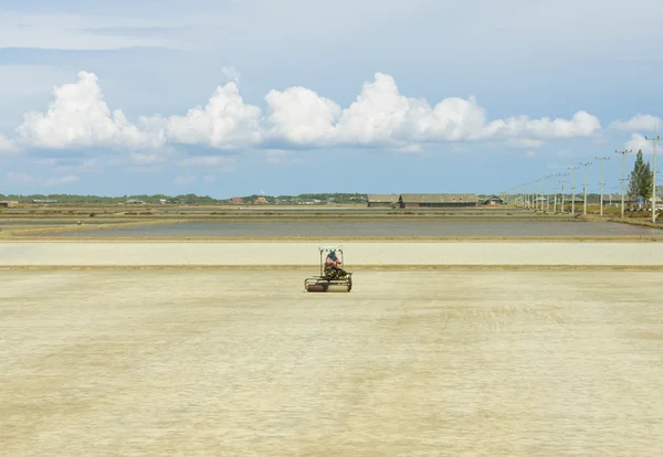 Workers driving Salt will be produced in saline. — Stock Photo, Image