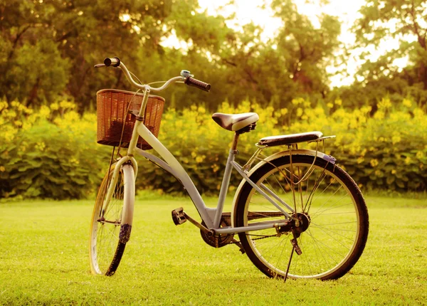 Красивый пейзаж с велосипедом в парке — стоковое фото