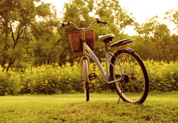 Schöne Landschaft mit Fahrrad im Park — Stockfoto