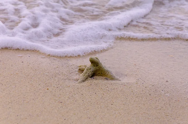 Corail et vague de mer sur la plage de sable — Photo